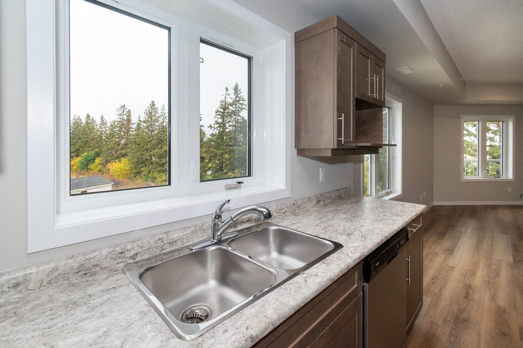 an empty kitchen with a sink and two windows