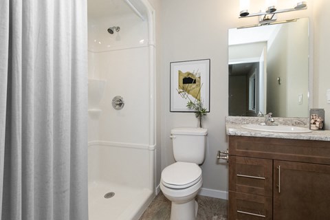 a bathroom with a shower toilet and sink and a mirror