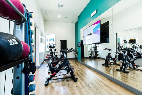 Fitness Center with strength and cardio equipment at ARISTA APARTMENT HOMES, Las Vegas