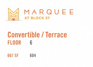 Convertible Plan 604 at Marquee at Block 37, Chicago, Illinois