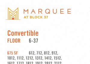 Convertible Plan 12 at Marquee at Block 37, Chicago, IL, 60601