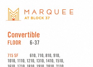 Convertible Plan 10 at Marquee at Block 37, Illinois