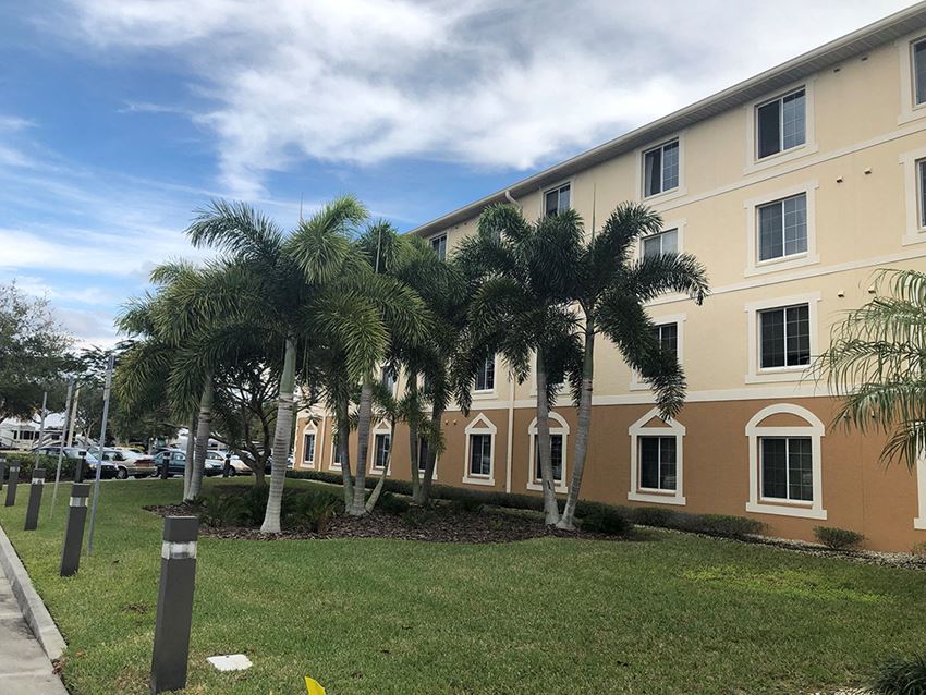 palms stately palms line our senior apartments for rent in venice, fl