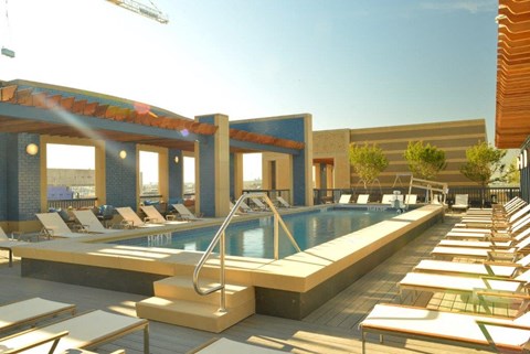 the pool at the flamingo resort and spa