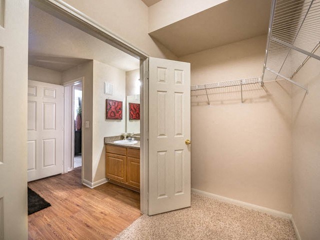 a bathroom with a closet and a sink and a mirror