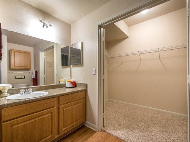 a bathroom with a sink and a shower and a mirror