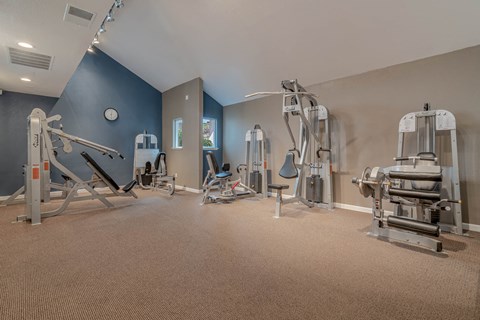 A gym with a variety of exercise equipment.