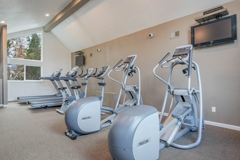 A gym with treadmills and elliptical machines.