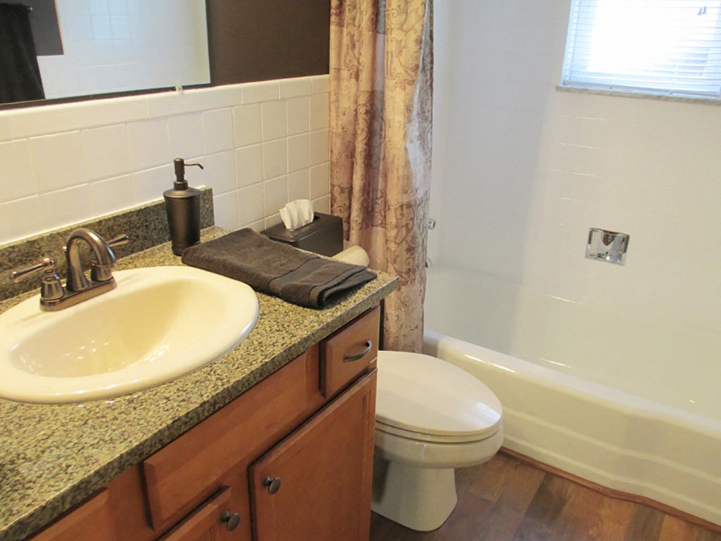 a bathroom with a sink and a toilet and a bath tub
