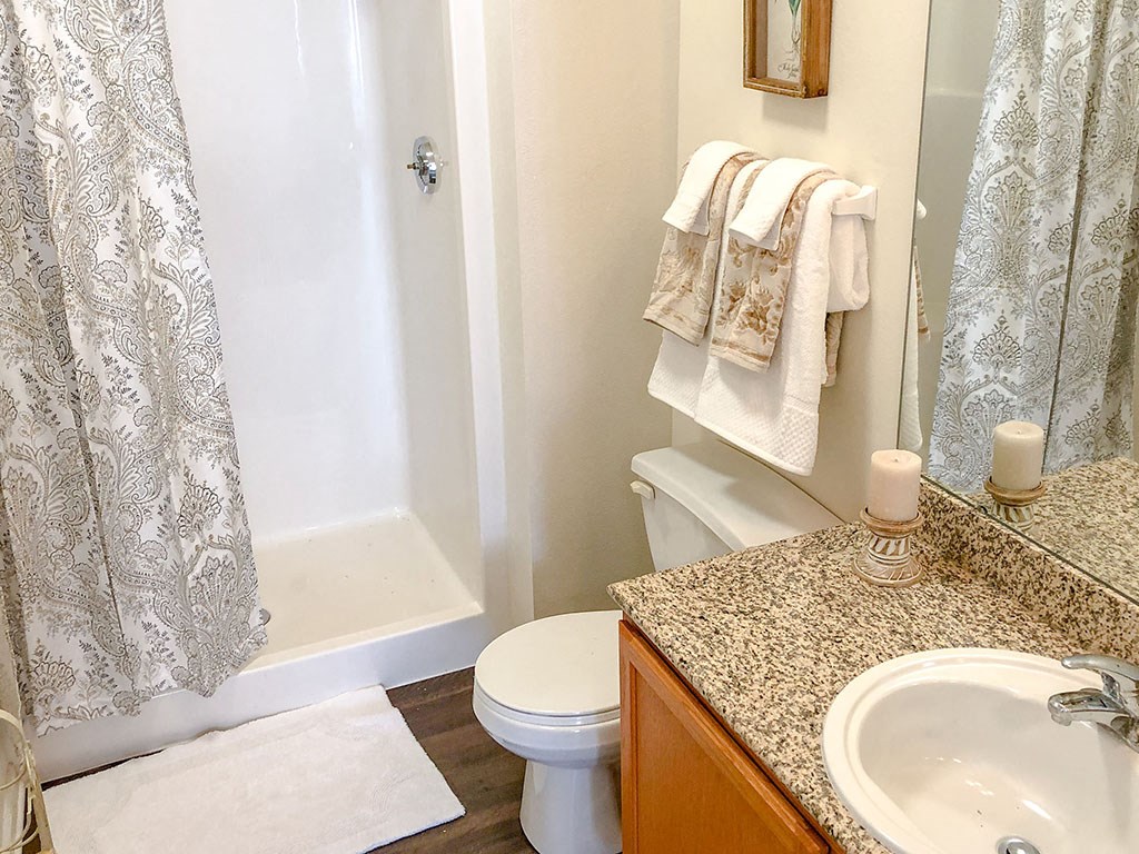 a bathroom with a sink and a toilet and a shower