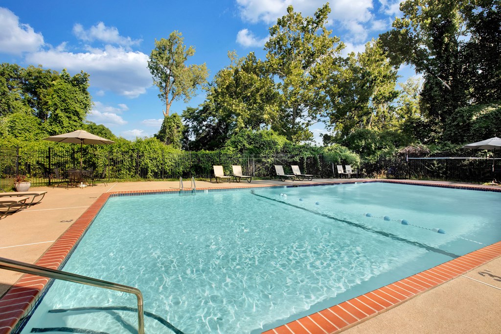 a swimming pool with trees in the background and a blue sky