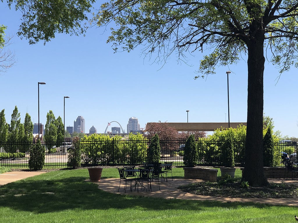 a park with a table and chairs under a tree