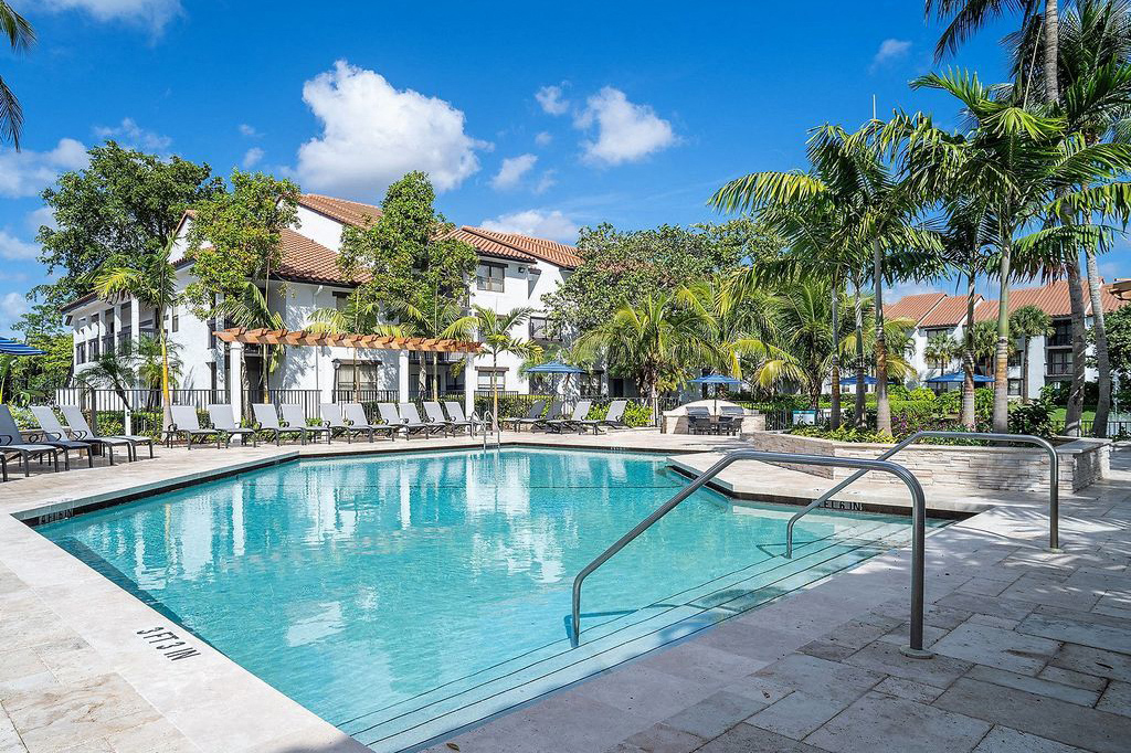 Pool surrounded by lounge chairs and palm trees