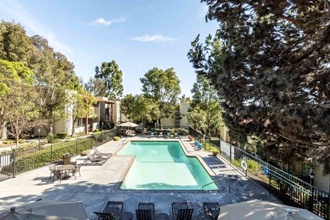 A pool surrounded by trees and chairs.