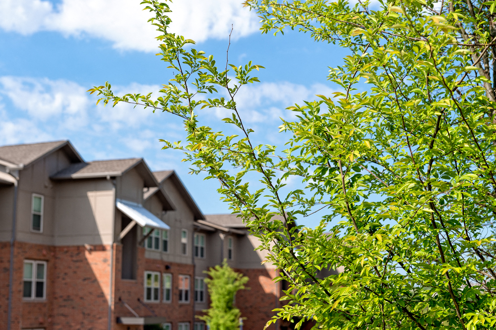 Walton Ridge, Marietta, GA