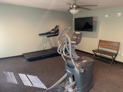 our gym is equipped with a treadmill and a tv
