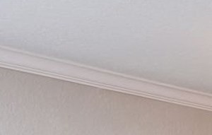 Tampa Palms, FL Apartments | The Grand Reserve at Tampa Palms | Home