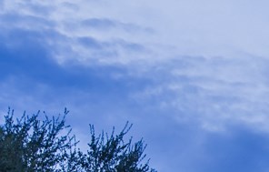 The Grand Reserve At Tampa Palms Apartments Apartments In Tampa Fl