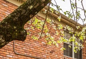 Breathtaking View Of Property Breathtaking View Of Property at Colony West Apartments, Arkansas - Photo Gallery