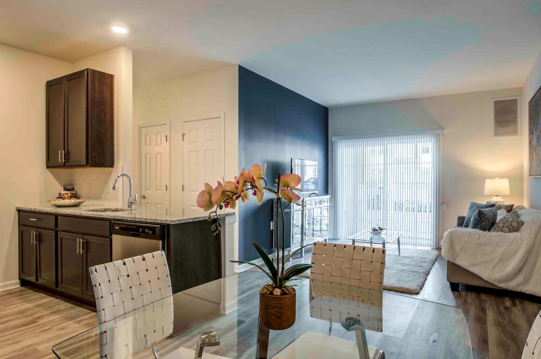 1 Bedroom Living-Dining