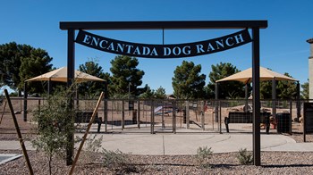 Encantada Continental Reserve Dog Ranch Entrance - Photo Gallery 42