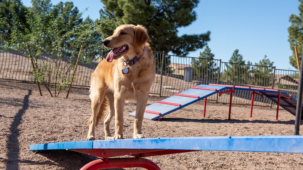 Encantada Continental Reserve