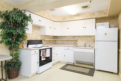 a kitchen with white cabinets and appliances and a plant