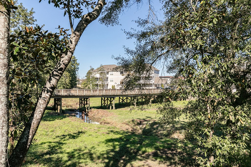 a bridge over a river in a park with trees