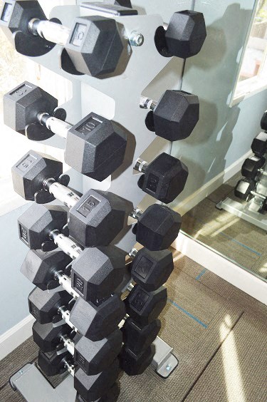 a bunch of dumbbells hanging from a wall in a gym