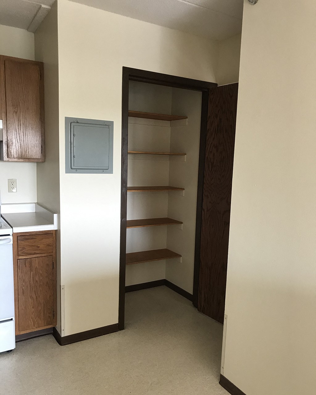 a closet in a kitchen with shelves and a microwave