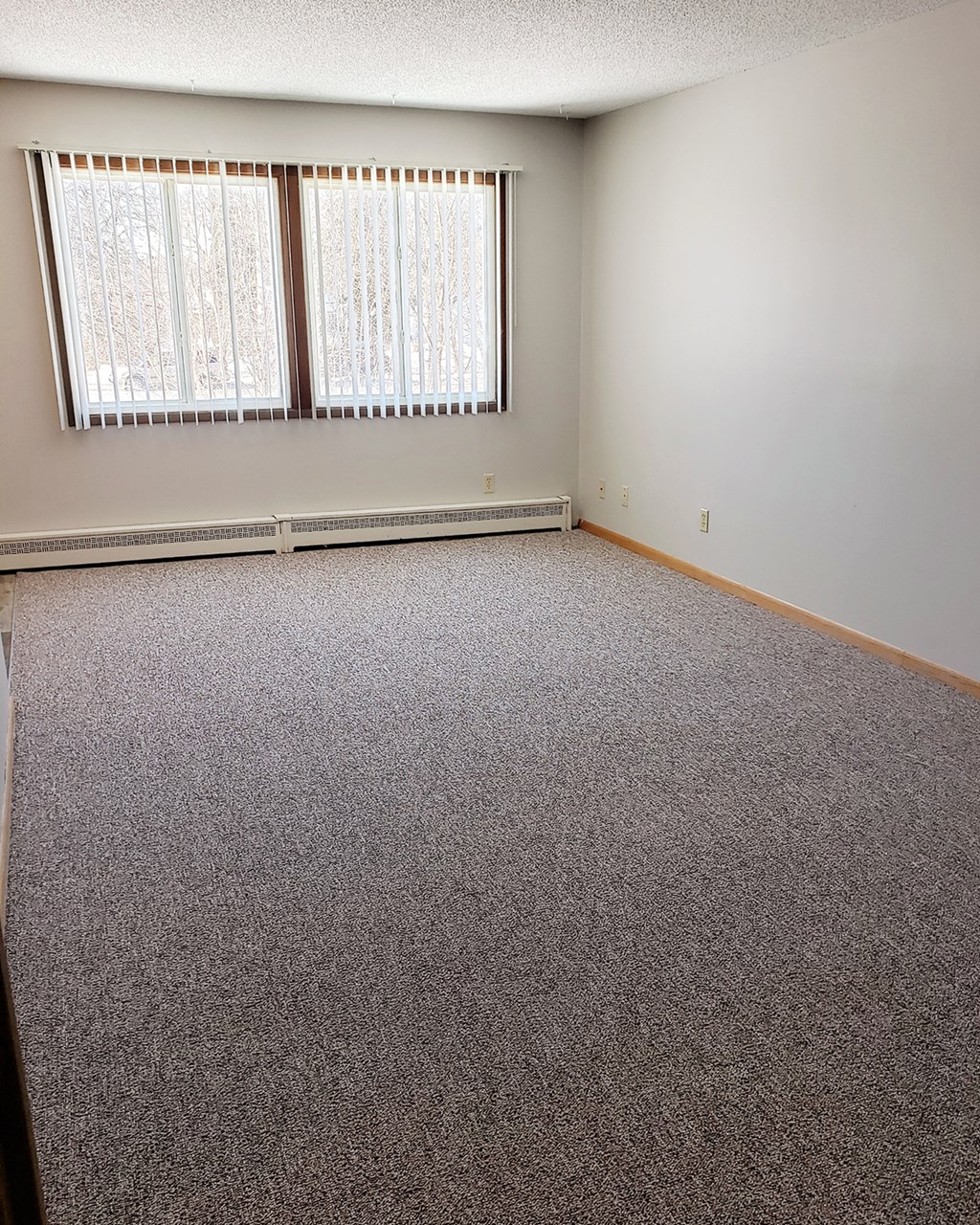 an empty room with carpet and a window