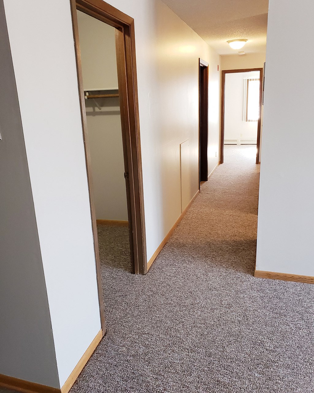 a hallway with mirrors and closets and a carpeted floor