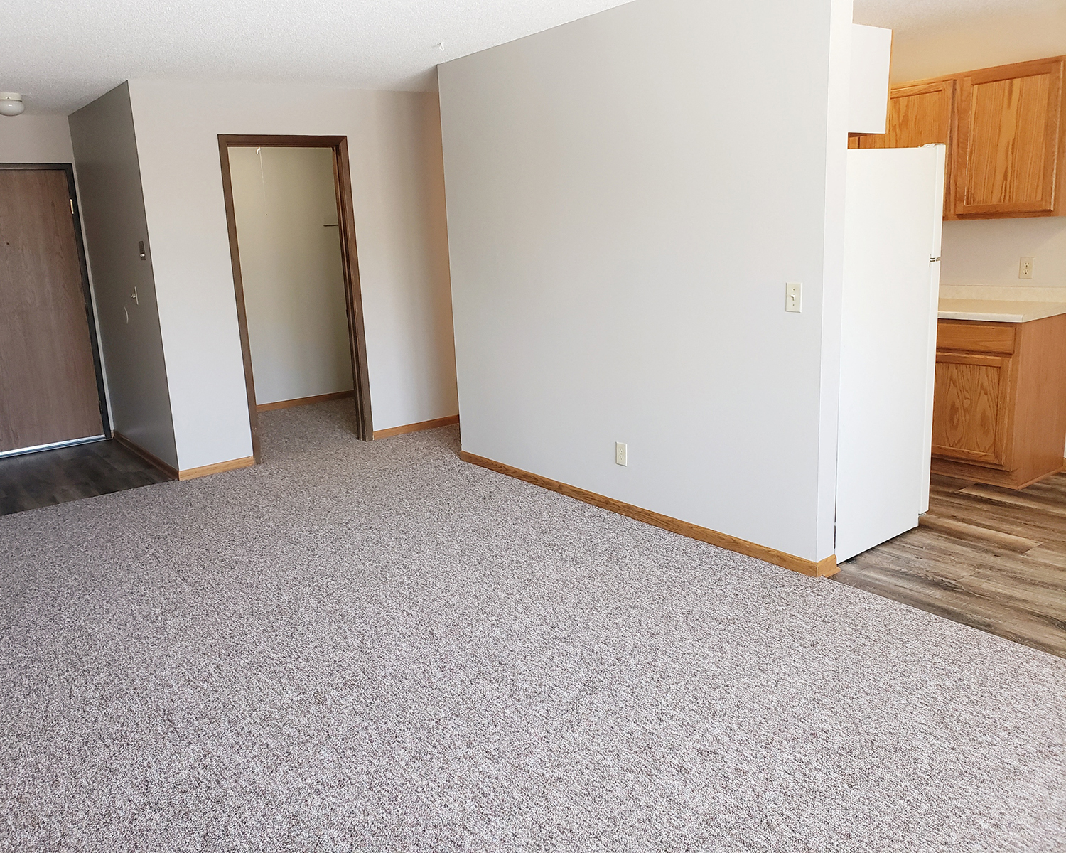 an empty living room with white carpet and wood flooring