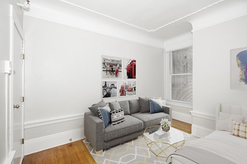 A living room with a grey couch and a coffee table.