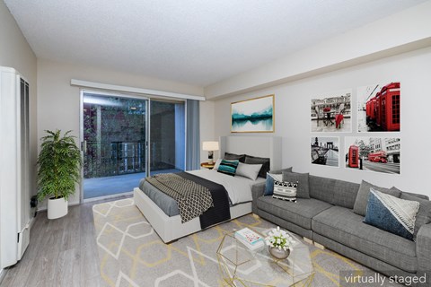 A living room with a grey couch, a bed, a coffee table, and pictures on the wall.