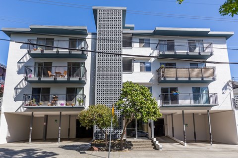 A white building with balconies and a tree in front.