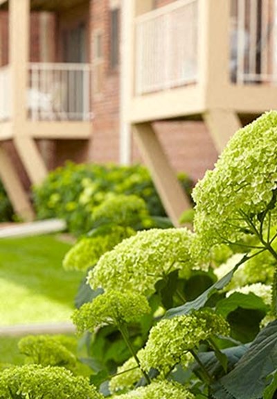 Westwind Apartments Apartments In St Louis Park Mn
