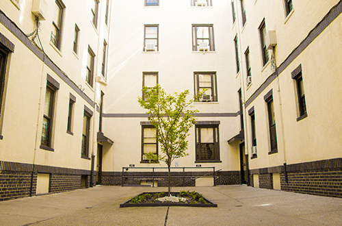 a tree in the middle of a courtyard between two buildings