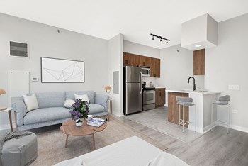 Studio living, dining, kitchen with stainless steel appliances, and queen bed - Photo Gallery 6