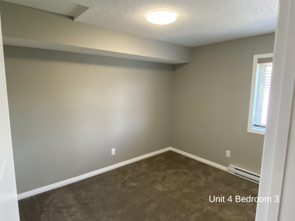 a empty room with a carpeted floor and a window