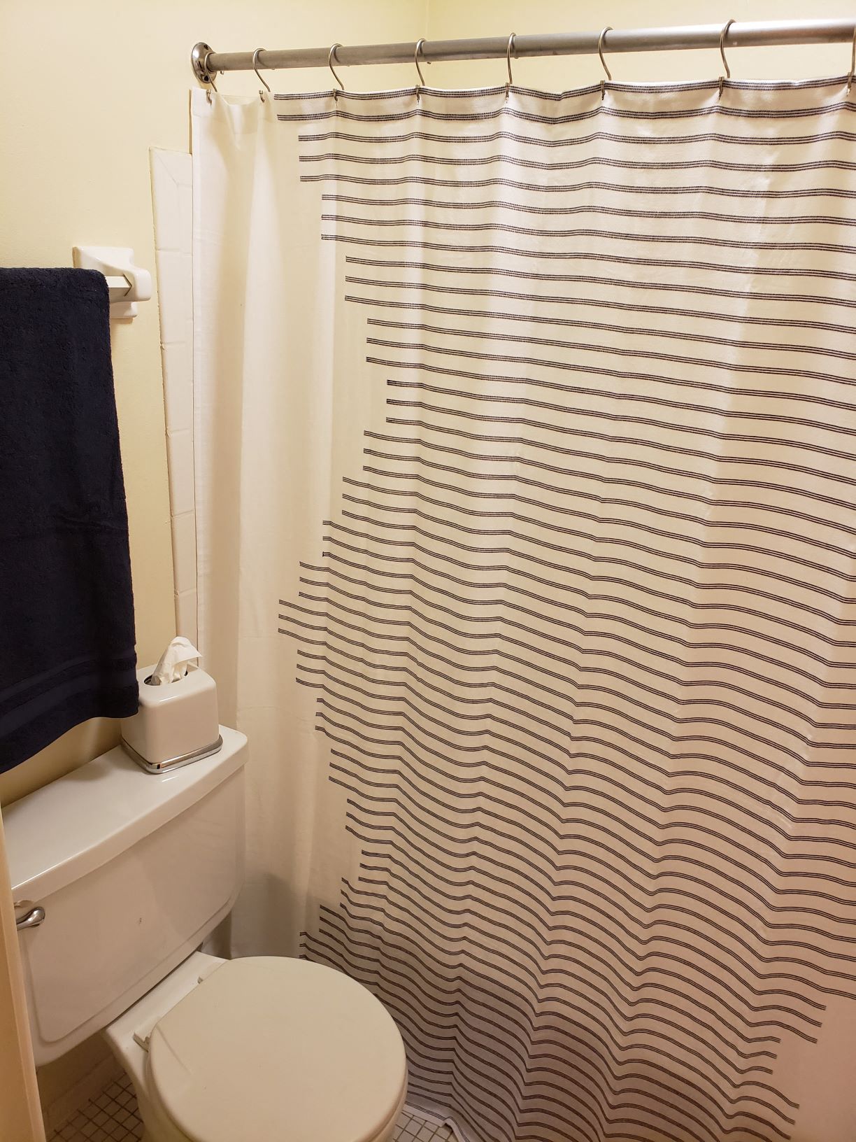 a bathroom with a shower curtain and a toilet