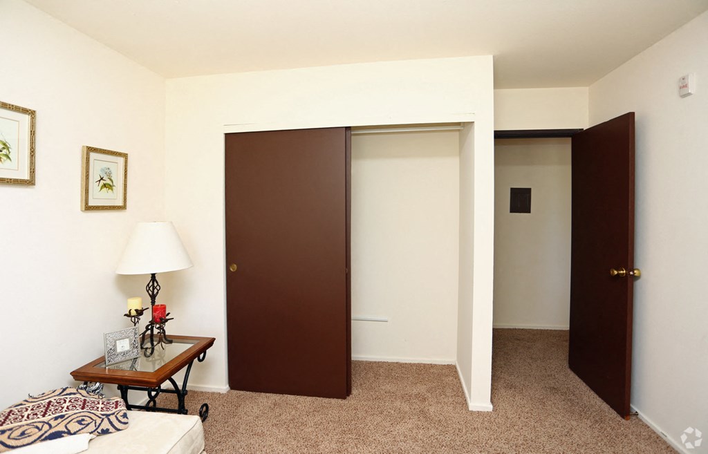 a living room with a closet and a couch