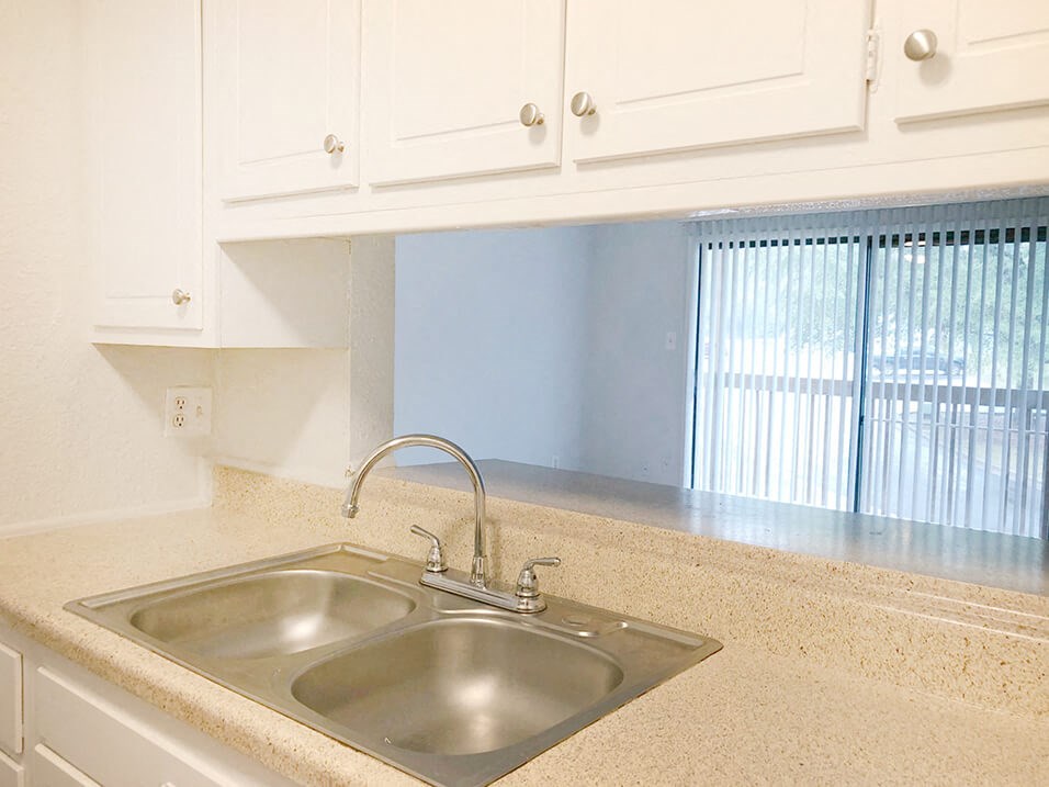 Double Kitchen Sink in apartment