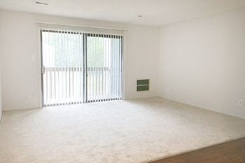 apartment carpeting