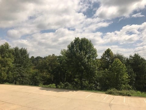 A parking lot with trees in the background.