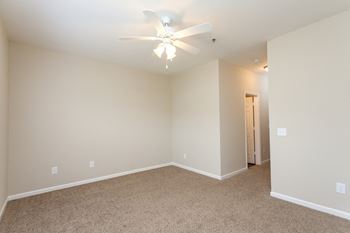 Plush Carpeting