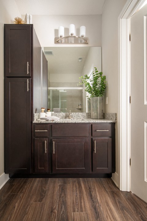 a bathroom with dark cabinets and a sink and a mirror