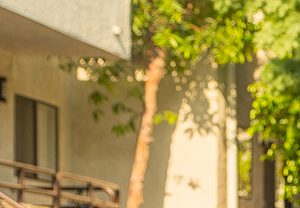 Northridge-Luxury-Apartment-Exterior-Pool-Model