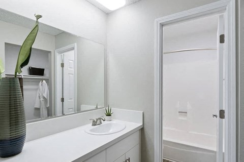 a bathroom with a sink and a mirror and a shower