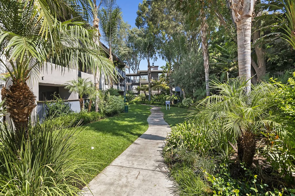 a walkway through a neighborhood with palm trees and grass